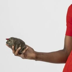 ARIA W VEST -Castelli 08 4520088 232